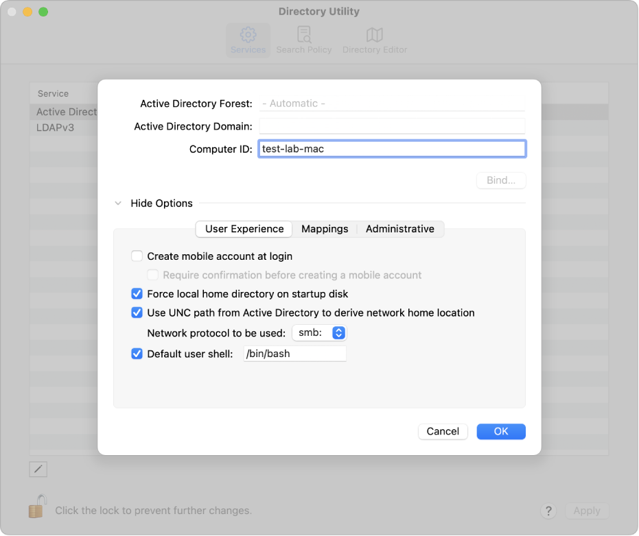 Active Directory configuration options with the advanced options section expanded.