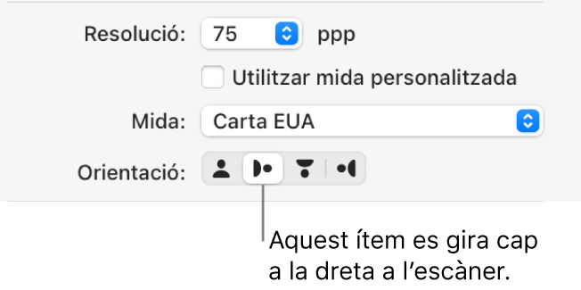 Els botons d’orientació a la finestra Escàner. Un botó ressaltat significa que un ítem s’ha girat cap a la dreta a l’escàner.