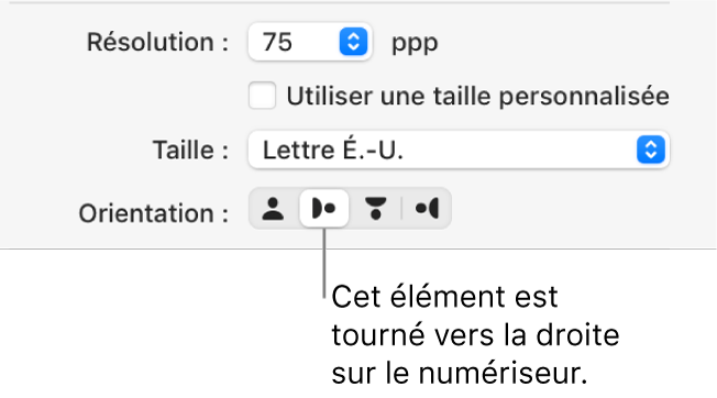 Boutons Présentation de la fenêtre Numériseur. Un bouton mis en évidence qui indique que l’article sur le numériseur est tourné vers le droite.