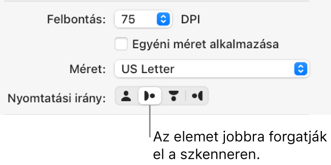 A Tájolás gombok a Szkenner ablakban. A kiemelt gomb jelzi, hogy az elem jobbra van forgatva a szkenneren.