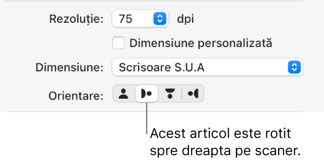 Butoanele Orientare în fereastra Scaner. Un buton evidențiat arată că un articol este rotit la dreapta pe scaner.