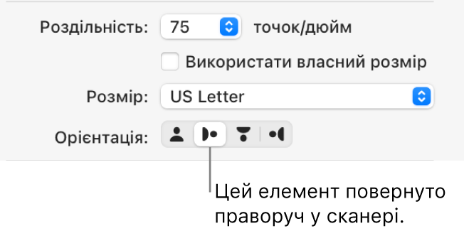 Кнопки «Орієнтація» у вікні сканера. Виділена кнопка вказує, що елемент на сканері повернуто вправо.