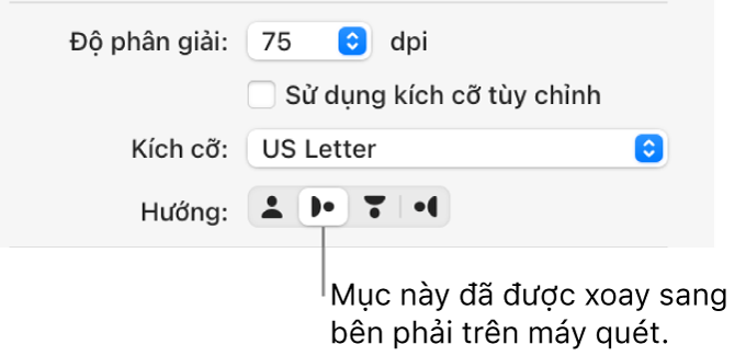 Nút Hướng trong cửa sổ Máy quét. Nút được tô sáng cho biết rằng mục đã được xoay sang bên phải trên máy quét.