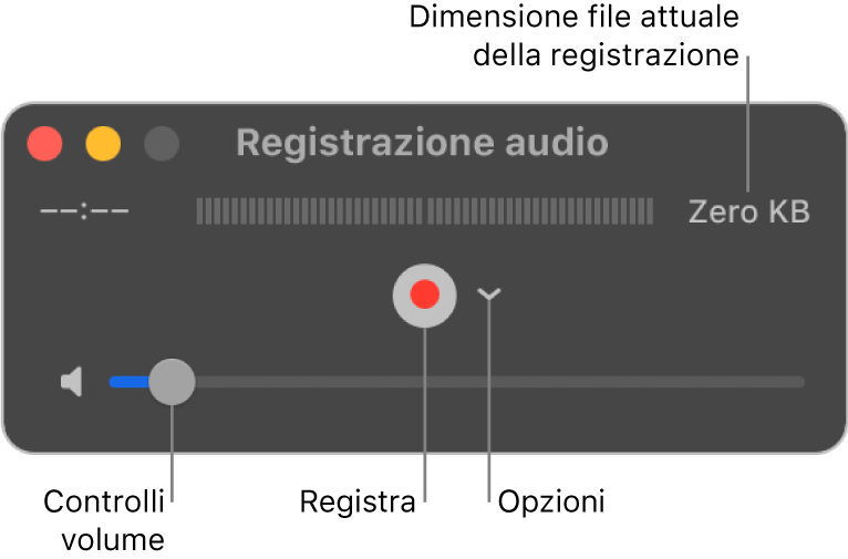 Finestra di “Registrazione audio” con il pulsante Registra e il menu a comparsa Opzioni al centro della finestra e il controllo del volume nella parte inferiore.