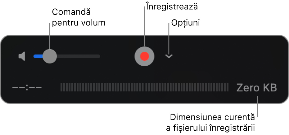 Comenzile de înregistrare, inclusiv comanda pentru volum, butonul Înregistrează și meniul pop-up Opțiuni.