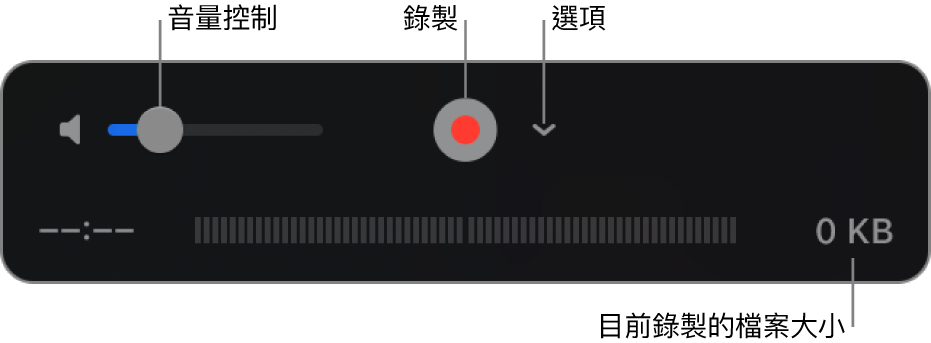 錄製控制項目，包含音量控制、「錄製」按鈕和「選項」彈出式選單。