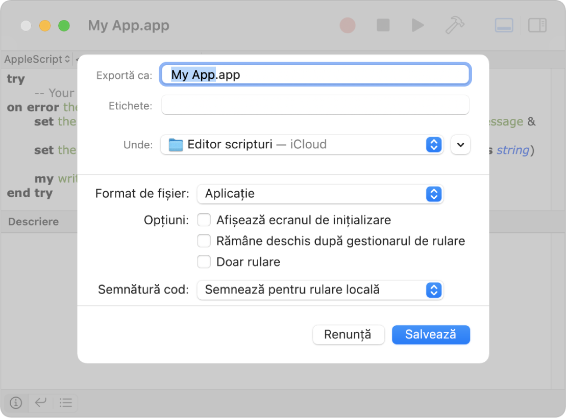 Dialogul Exportă prezentând meniul pop-up Format de fișier cu opțiunea Aplicație selectată și opțiunile pe care le puteți alege la salvarea scriptului.