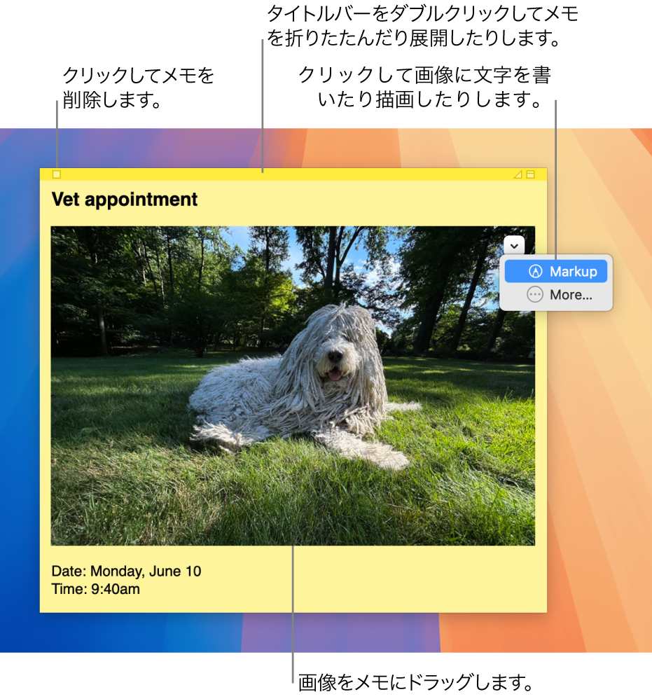 開いているスティッキーメモ。テキスト、画像、リストが含まれています。