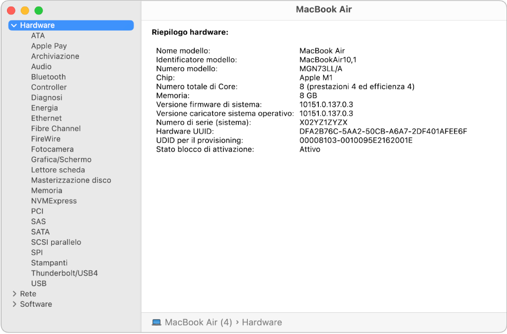 La sezione relativa alla panoramica hardware di un resoconto di sistema.