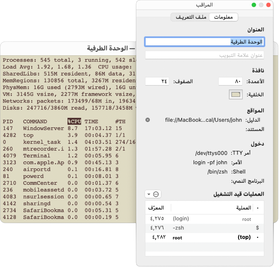 جزء المراقب في الوحدة الطرفية.