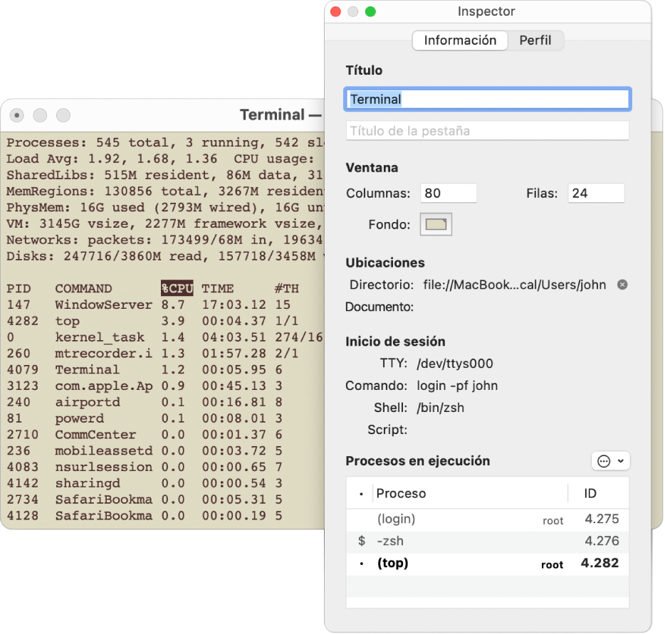 El panel Inspector de Terminal.