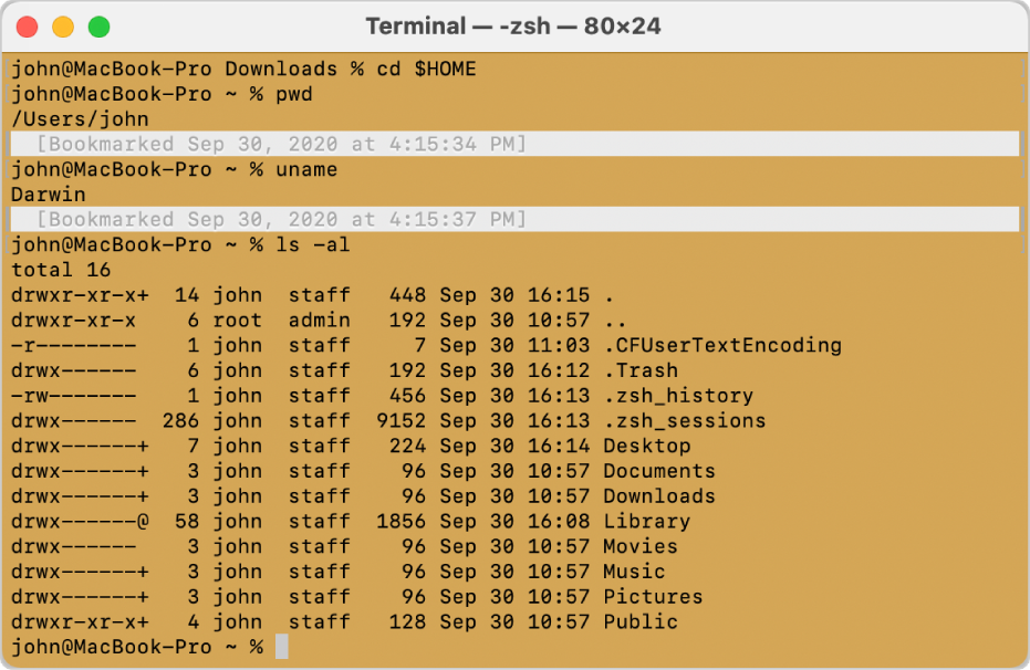 Una ventana de Terminal con marcas y marcadores a los lados izquierdo y derecho, y un marcador con información de fecha y hora encima de un símbolo del sistema.