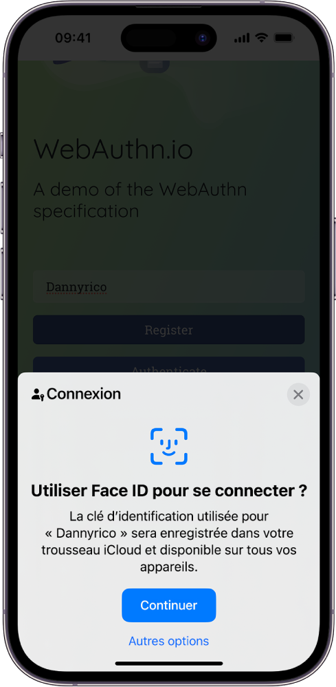 La partie inférieure de l’écran de l’iPhone offre la possibilité d’utiliser des clés d’identification pour se connecter à un site web. On y trouve également un bouton Continuer qui permet d’enregistrer une clé d’identification, ainsi qu’un bouton Autres options.