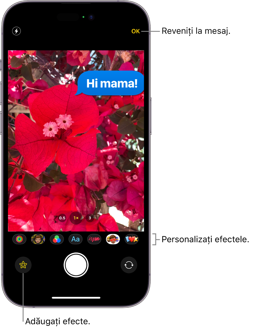 Editarea foto din cadrul aplicației Mesaje. Opțiunile pentru aplicarea diferitelor efecte apar sub poză.