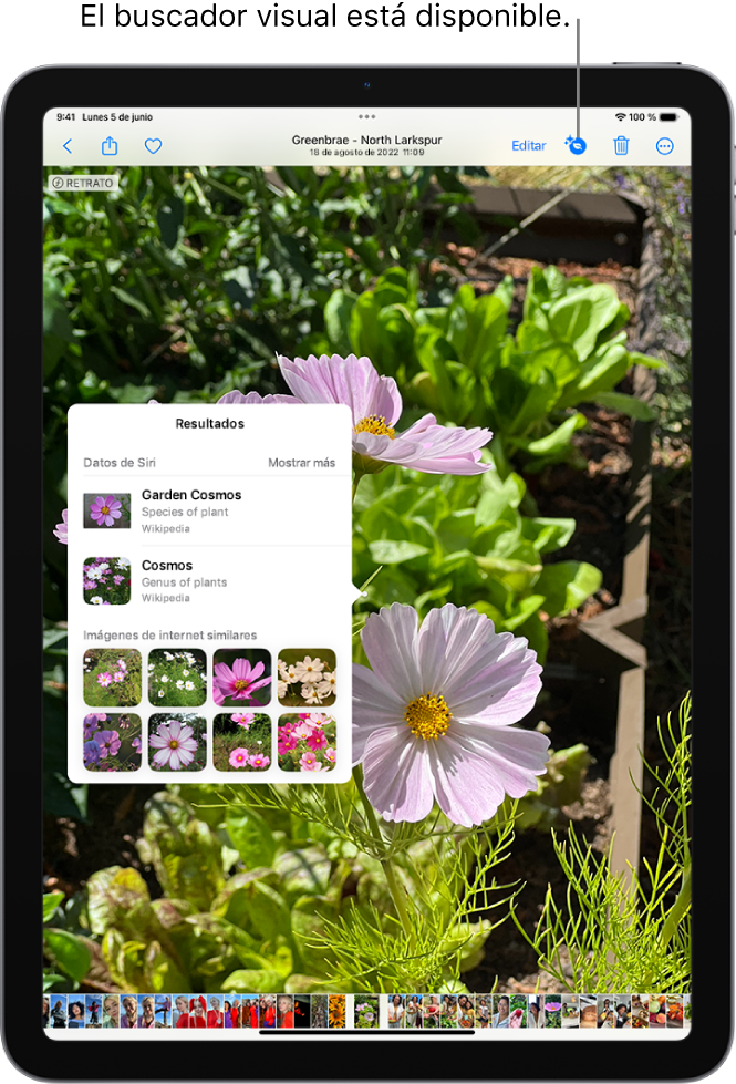 Hay una foto abierta en la app Fotos. En la parte superior de la pantalla, el botón Información muestra un icono que indica que hay información del buscador visual disponible. Se selecciona el botón y los resultados del “Buscador visual” se muestran en la pantalla.