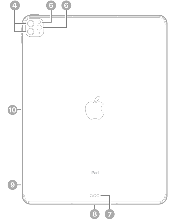 Vista posterior del iPad Pro con textos sobre las cámaras traseras y el flash en la parte superior izquierda, el Smart Connector y el conector Thunderbolt/USB 4 en la parte inferior central, la bandeja de la tarjeta SIM (Wi-Fi + Cellular) abajo a la izquierda y el conector magnético para el Apple Pencil a la izquierda.