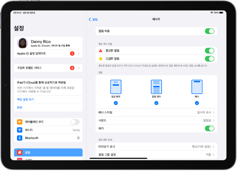 알림 및 경고 메시지 설정이 표시된 iPad.