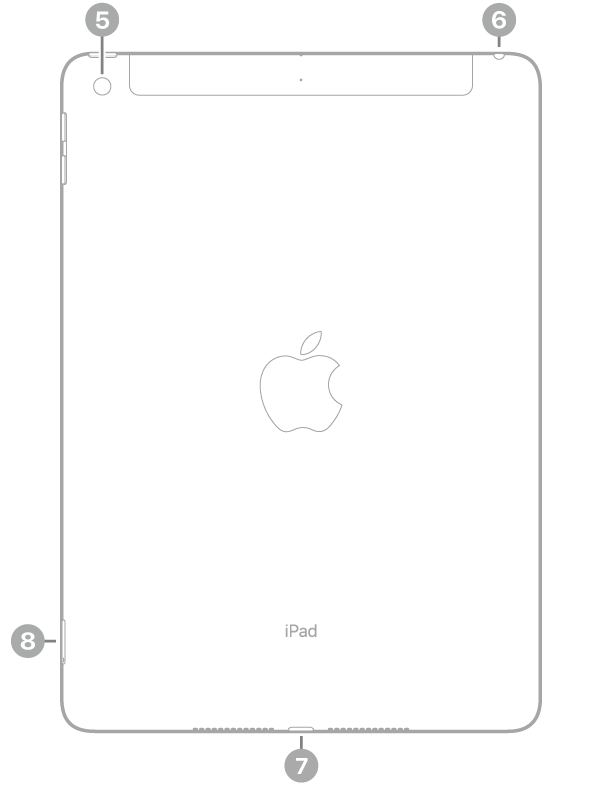 Skats uz iPad aizmuguri ar atsaucēm uz aizmugurējo kameru augšējā kreisajā pusē, austiņu ligzdu pusē, Lightning savienotāju apakšā pa vidu, bet SIM turētāju (Wi-Fi + Cellular) apakšā pa kreisi.