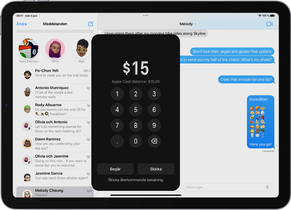 En iMessage-konversation med Apple Pay öppen längst ned.