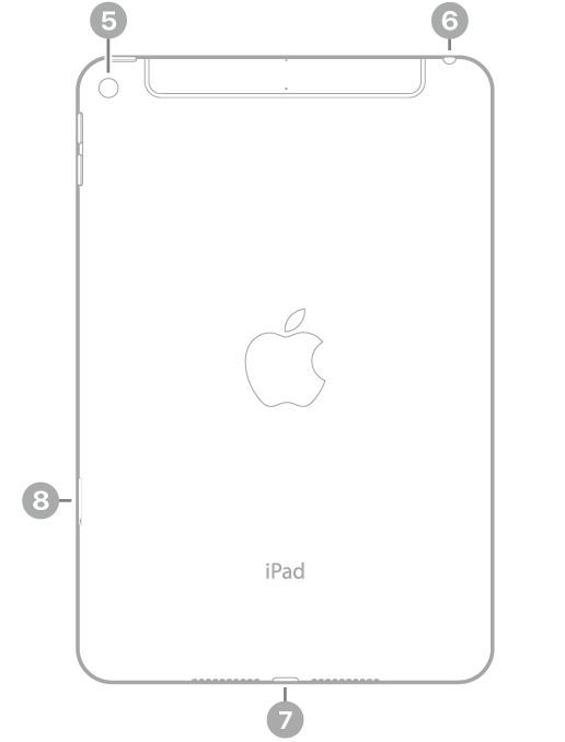 iPad mini’nin, sol üstte arka kameraya, sağ üstte kulaklık jakına, alt ortada Lightning bağlayıcısına ve sol altta SIM tepsisine (Wi-Fi + Cellular) belirtme çizgileriyle arkadan görünüşü.