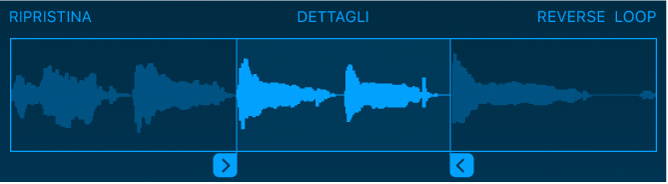 Trascina le maniglie blu per accorciare l’inizio o la fine di un campione.