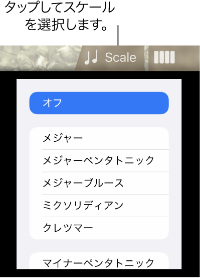 Bassの「Scale」ボタンとスケールリスト