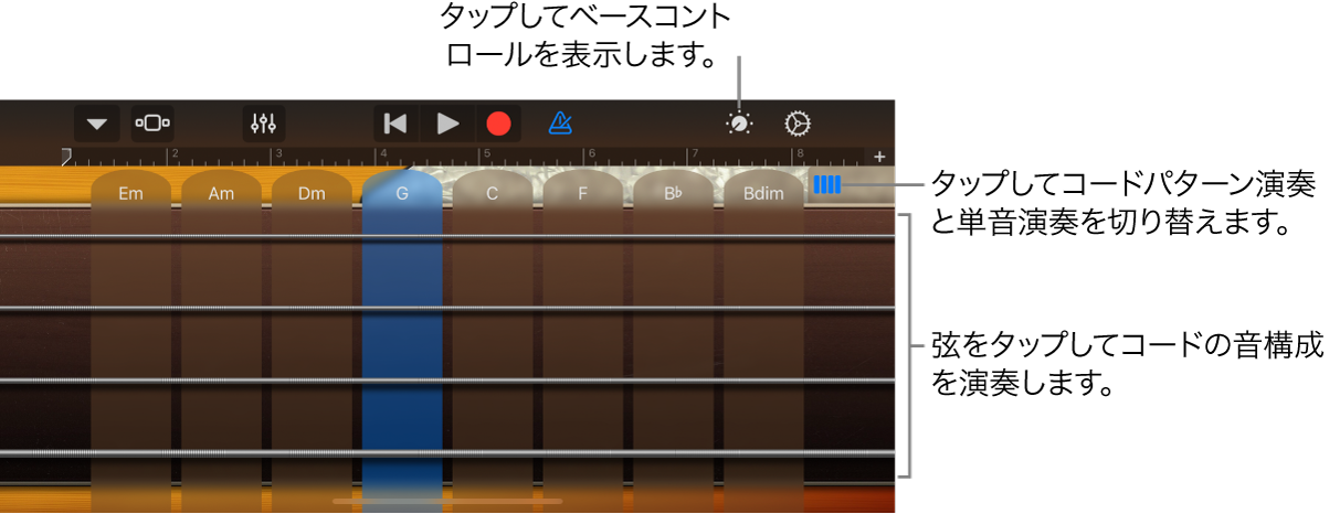 Bass Touch Instrument