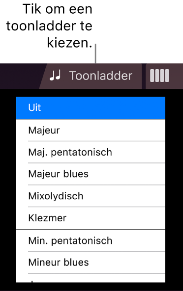 Knop 'Toonladder' en toonladderlijst voor de snaarinstrumenten