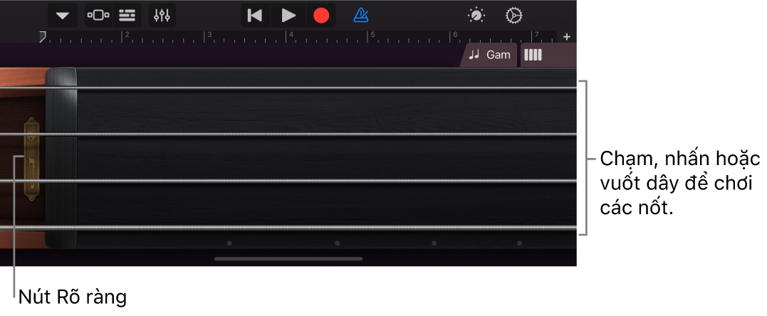 Chế độ xem Nốt trên nhạc cụ cảm ứng Đàn dây