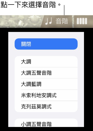 「貝斯音階」按鈕和「音階」列表