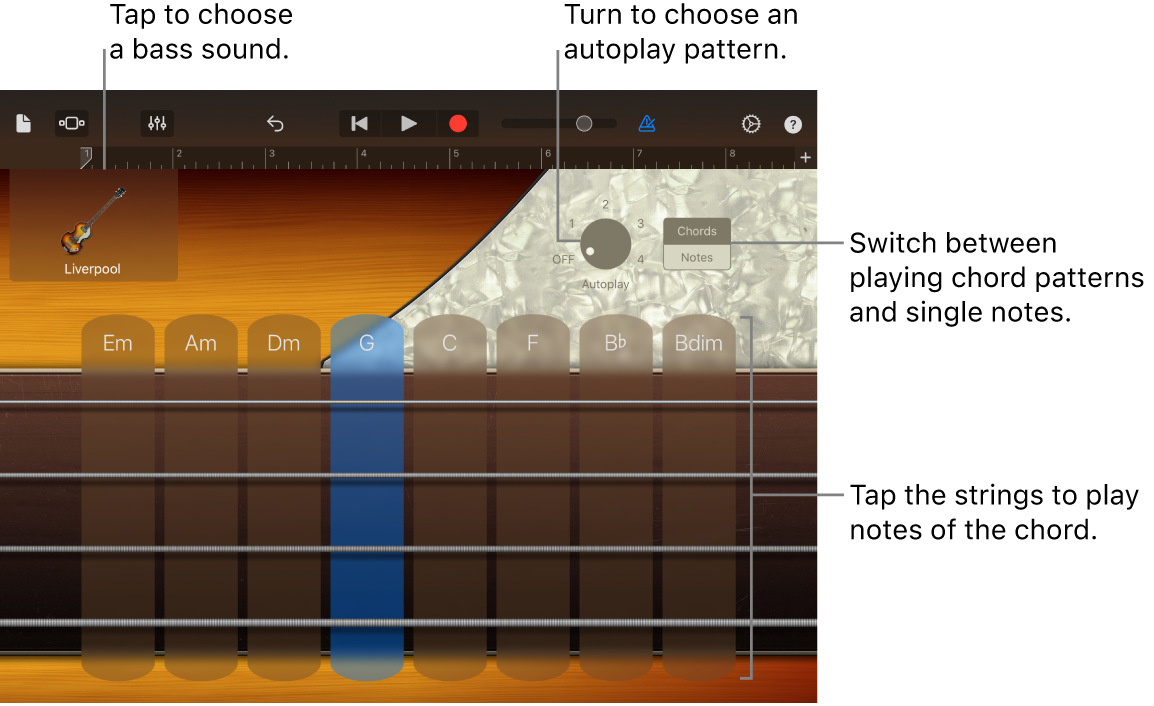 Bass Touch Instrument