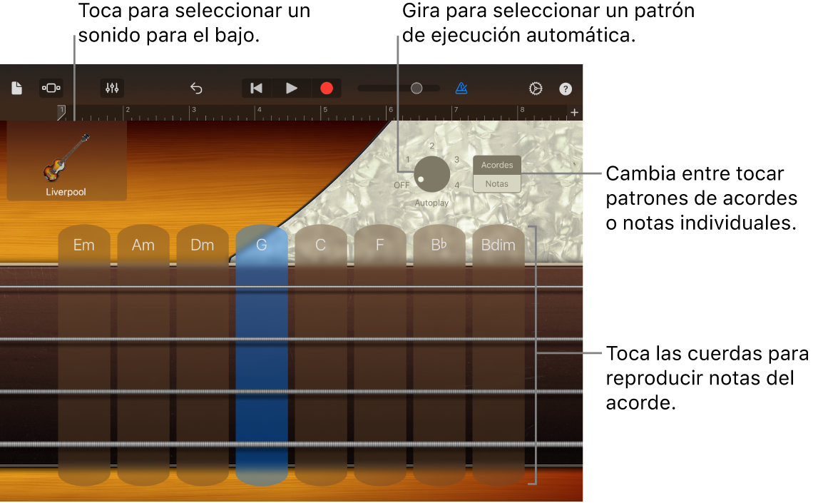 Instrumento táctil Bajo