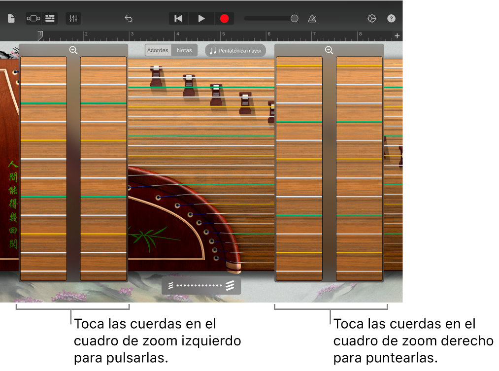 Cuadros de zoom del guzheng