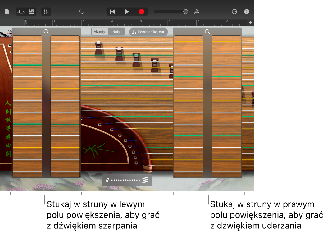 Pola powiększenia instrumentu guzheng