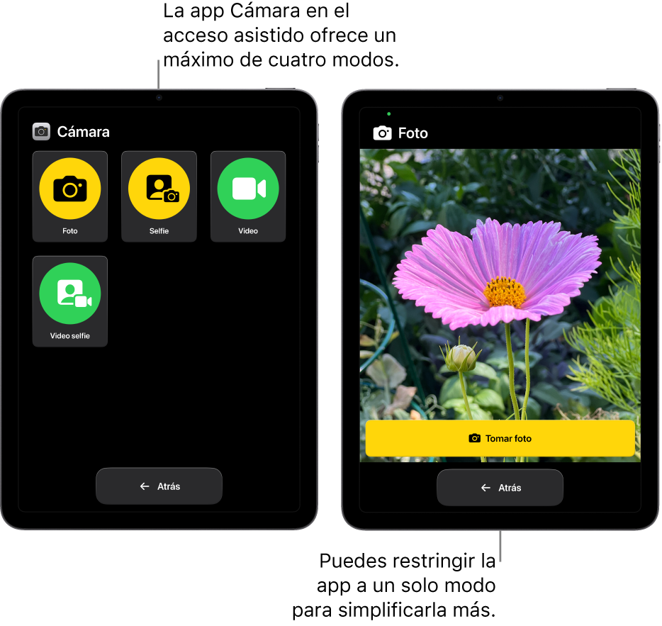 Dos pantallas de iPad en el modo de acceso asistido. Un iPad muestra la app Cámara con los modos de cámara que el usuario puede elegir, como Video y Selfie. El otro iPad muestra la app Cámara con un solo modo para tomar fotos.