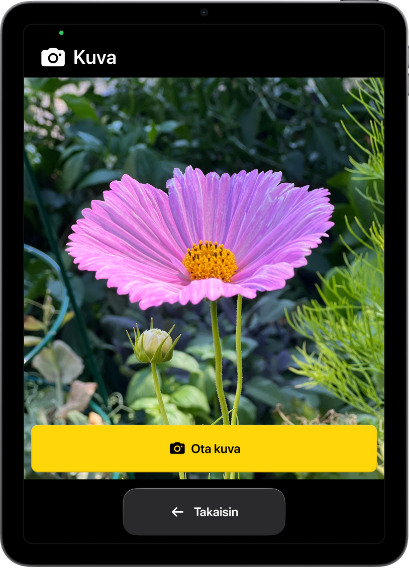iPad avustetussa käytössä. Näytöllä on auki Kamera-appi, jossa on yksi suuri painike kuvan ottamista varten ja toinen suuri painike edelliseen näyttöön palaamista varten.