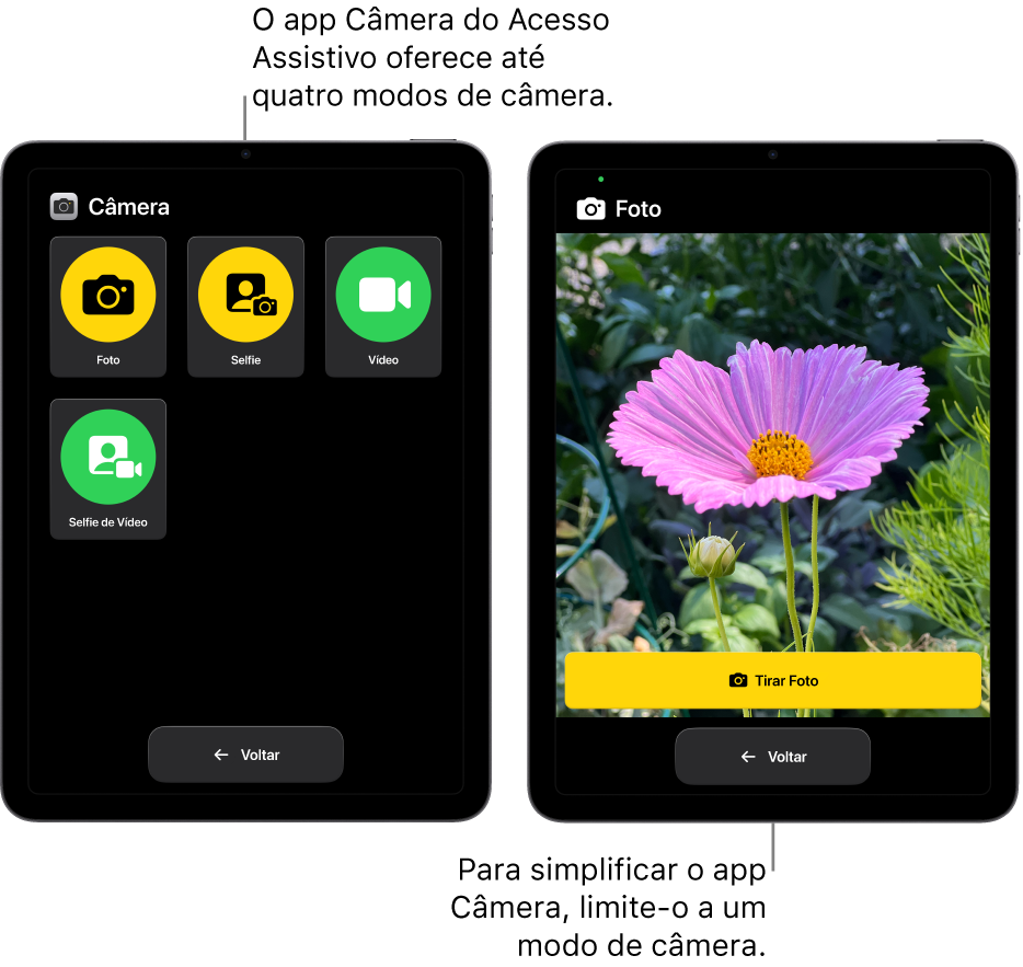 Duas telas de iPad no Acesso Assistivo. Um iPad mostra o app Câmera com modos de câmera para escolha do usuário, como Vídeo ou Selfie. O outro iPad mostra o app Câmera com um único modo para tirar fotos.