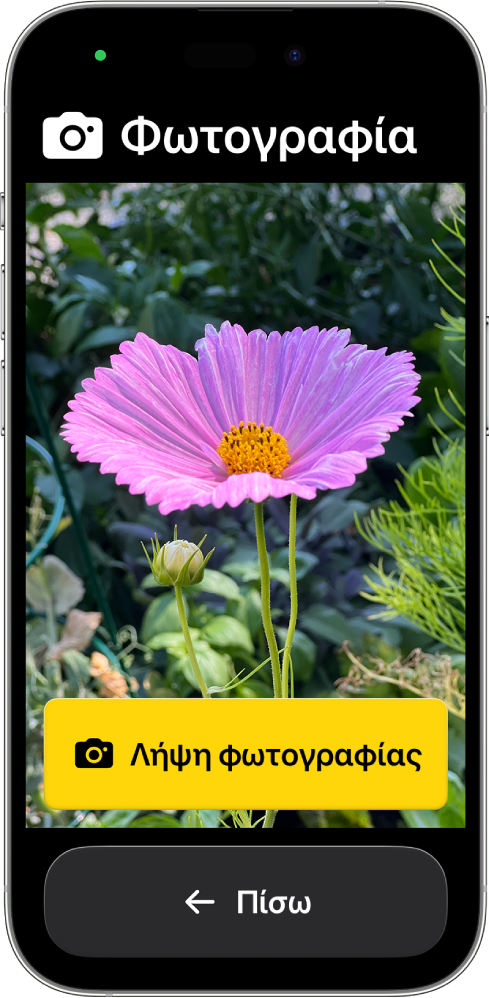 Ένα iPhone στην Υποβοηθούμενη πρόσβαση όπου εμφανίζεται η εφαρμογή «Κάμερα» ανοιχτή με ένα μεγάλο κουμπί για λήψη φωτογραφίας και άλλο ένα μεγάλο κουμπί για επιστροφή στην προηγούμενη οθόνη.