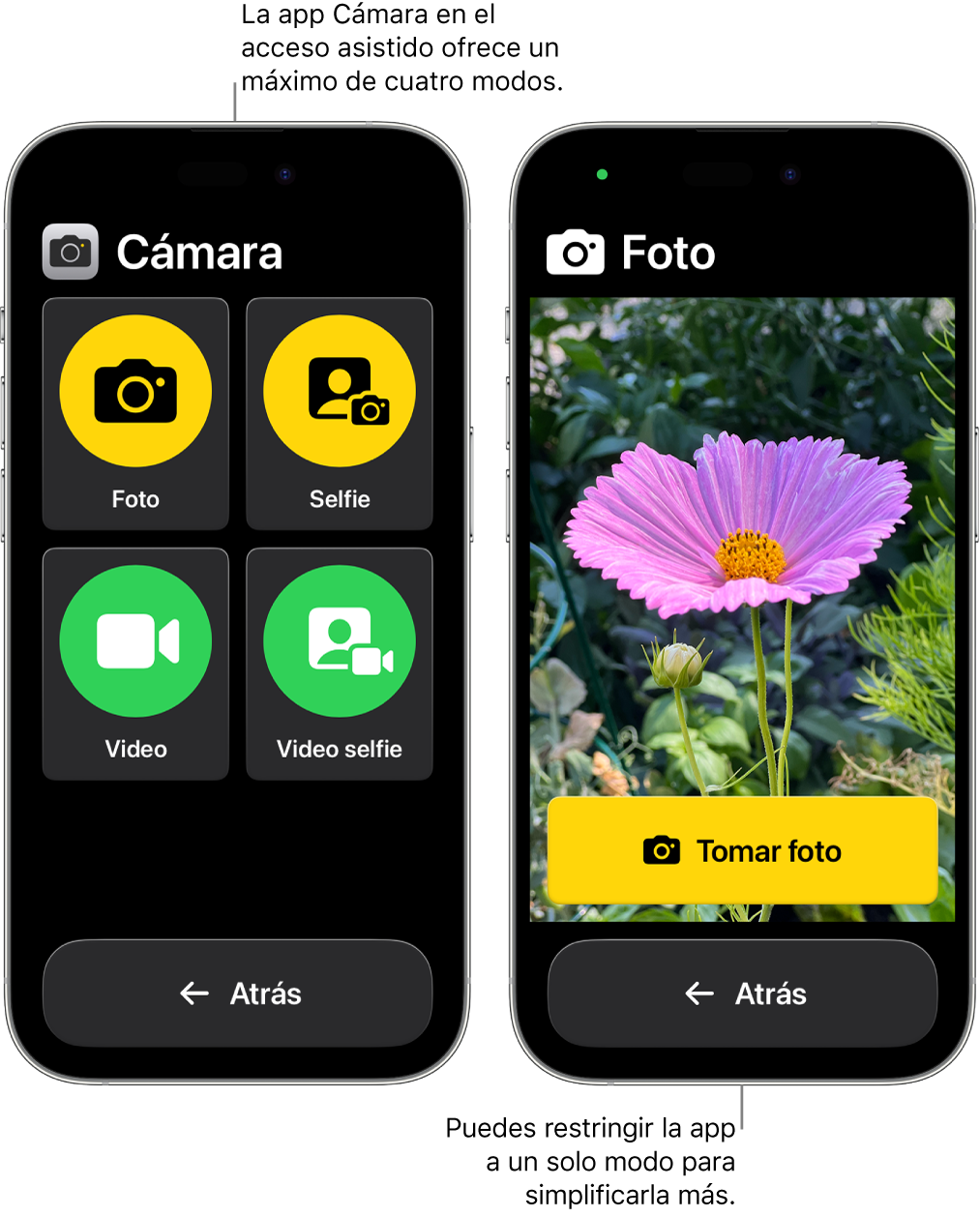 Dos pantallas de iPhone en el modo de acceso asistido. Un iPhone muestra la app Cámara con los modos de cámara que el usuario puede elegir, como Video y Selfie. El otro iPhone muestra la app Cámara con un solo modo para tomar fotos.