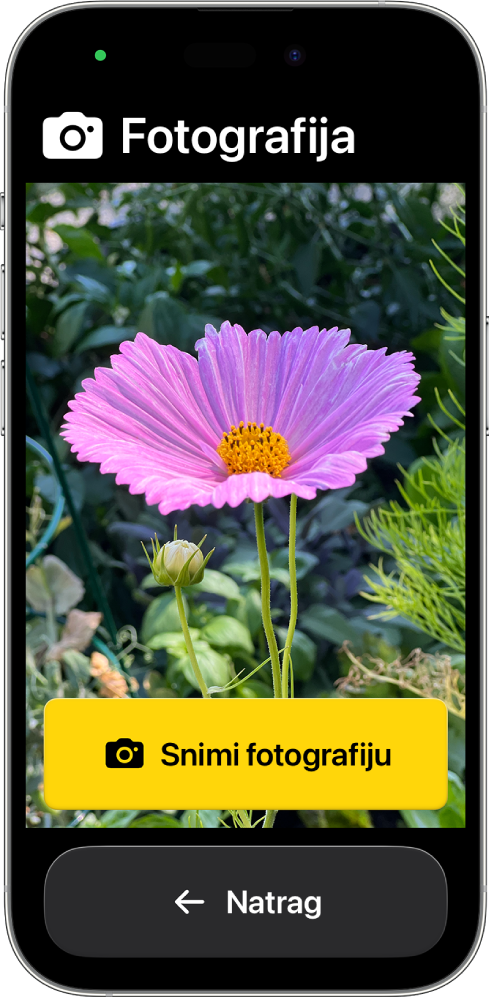 iPhone u Pomoćnom pristupu, s otvorenim prikazom aplikacije Kamera i velikim tipkama za snimanje fotografije i povratak na prethodni zaslon.