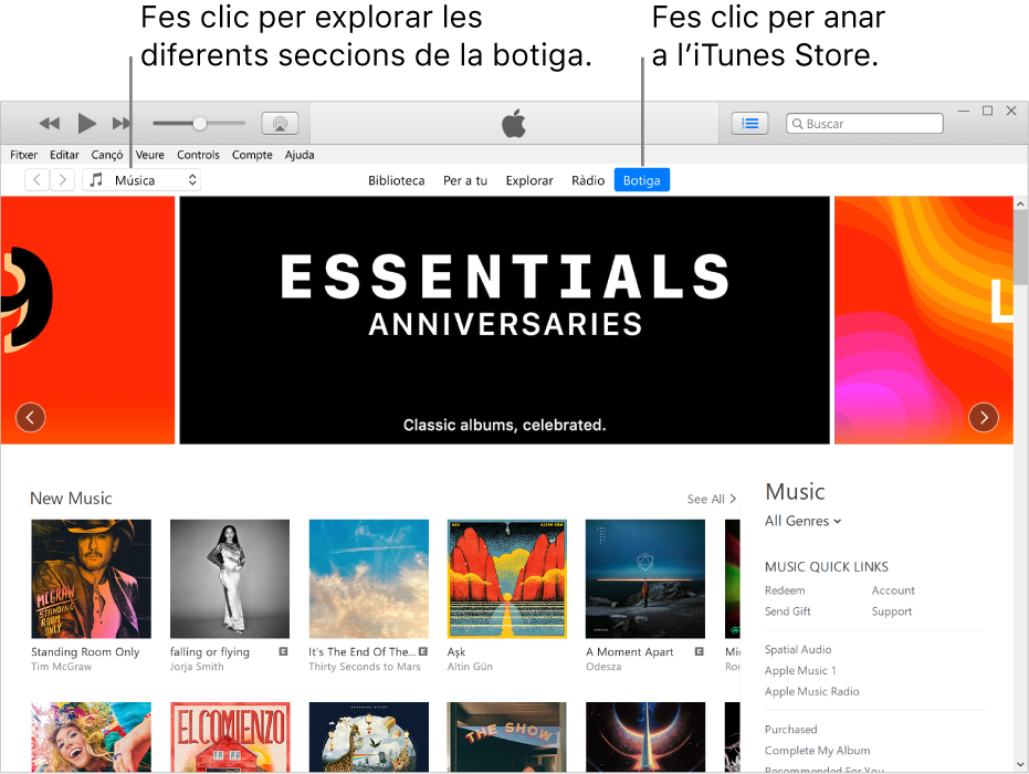 Finestra principal de l’iTunes Store: La botiga està ressaltada a la barra de navegació. Fes clic a la cantonada superior esquerra per veure els diferents continguts de la botiga (com ara “Música” o “TV”).