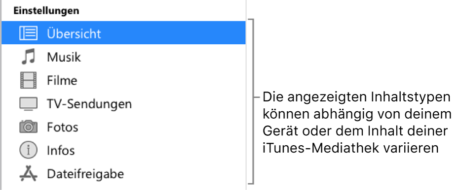 In der Seitenleiste ist die Übersicht ausgewählt. Der angezeigte Inhalt hängt von der Art des Geräts sowie von den Inhalten deiner iTunes-Mediathek ab.