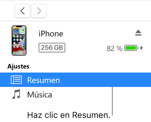 La ventana del dispositivo con la opción Resumen seleccionada en la barra lateral.