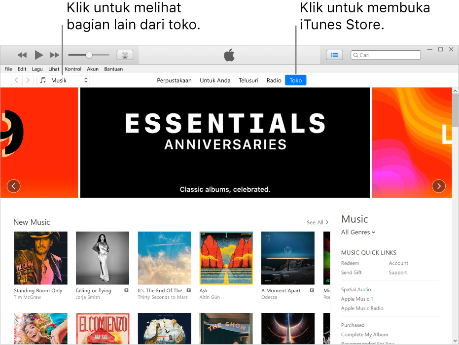 Jendela utama iTunes Store: Di bar navigasi, Toko disorot. Di pojok kiri atas, pilih untuk melihat konten yang berbeda di Toko (seperti Musik atau TV).