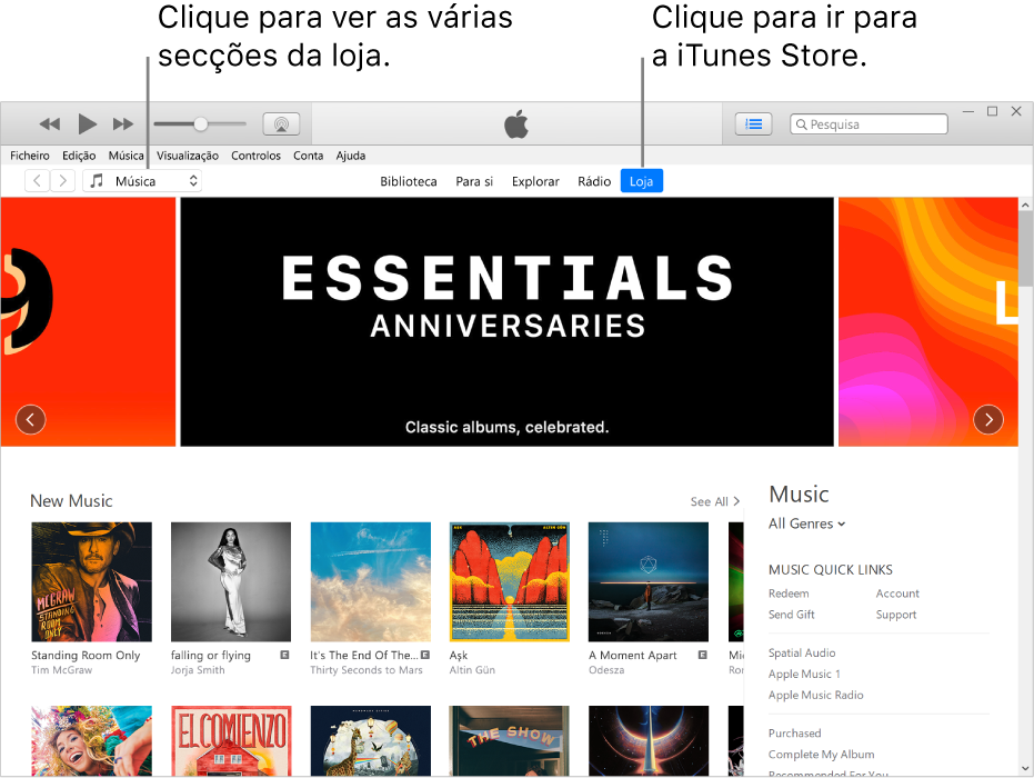 A janela principal da iTunes Store: Na barra de navegação, Loja aparece realçada. No canto superior esquerdo, escolha entre os diversos conteúdos da Loja (como Música ou TV).