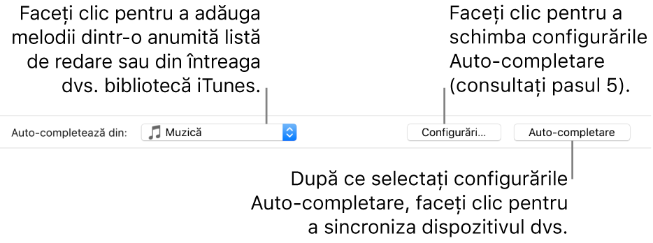 Opțiunile Auto-completare în partea de jos a panoului Muzică. În partea stângă extremă se află meniul pop-up Auto-completare, de unde puteți alege să adăugați melodii dintr-o listă de redare sau din întreaga dvs. bibliotecă. În partea dreaptă extremă se află două butoane – Configurări, pentru a schimba diverse opțiuni de Auto-completare, și Auto-completare. Când faceți clic pe Auto-completare, dispozitivul dvs. se completează cu melodiile care corespund criteriilor.