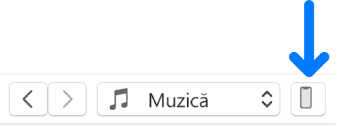 Butonul Dispozitiv selectat din apropierea părții de sus a ferestrei iTunes.