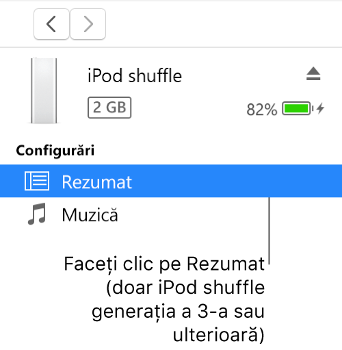 Fereastra Dispozitiv, cu secțiunea Rezumat selectată în bara laterală.