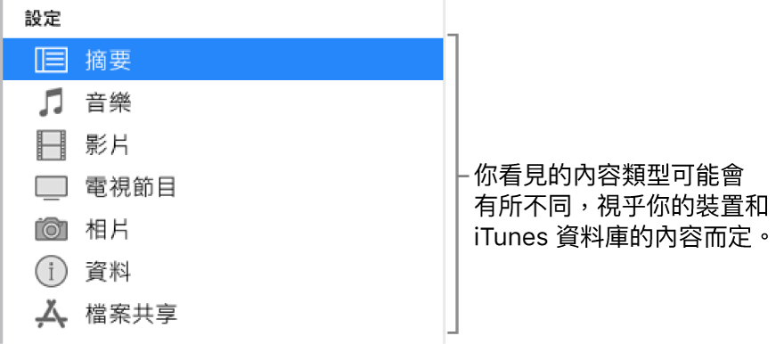 在側邊欄選取了「摘要」。顯示的內容類型可能會不同，視乎你的裝置和 iTunes 資料庫中的內容而定。