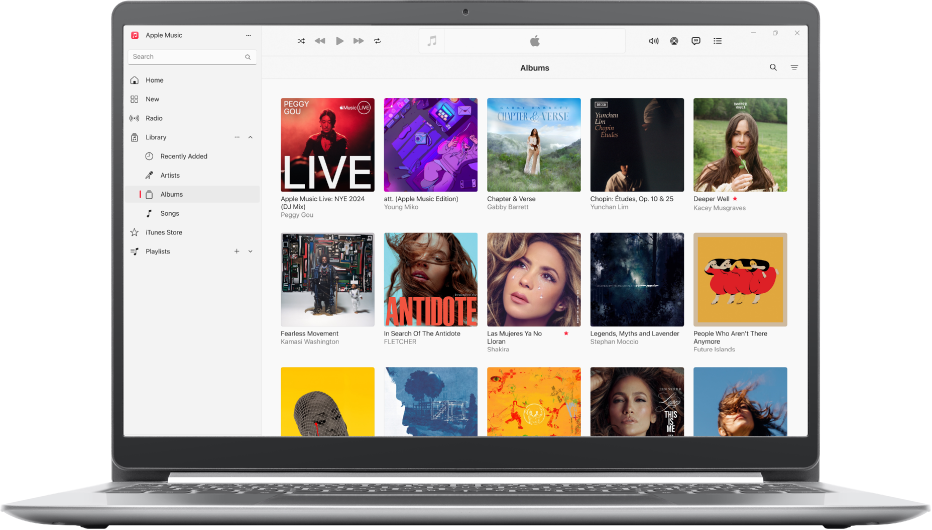 The Apple Music window with a library of albums.